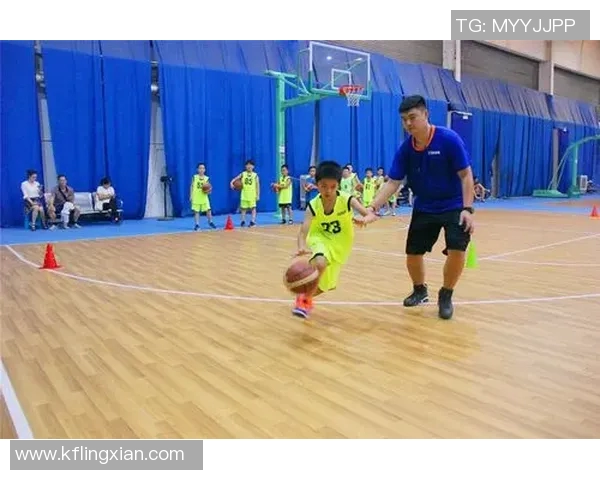 中国篮球培训机构排名前十的全面分析与推荐指南