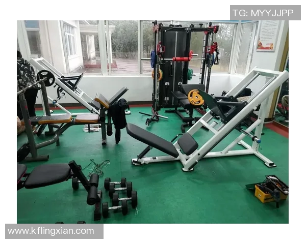 二手健身器材转让平台助你轻松找到心仪健身设备实现健康生活新选择