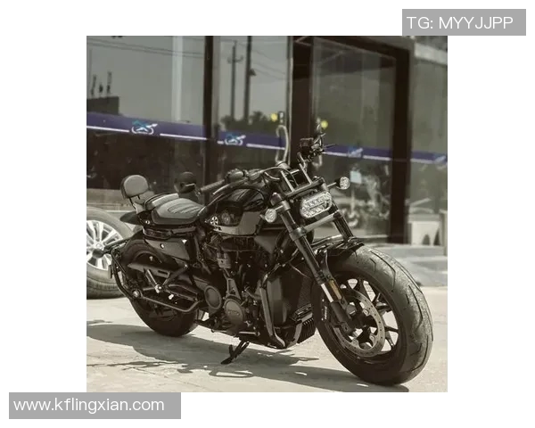 哈雷篮球明星的传奇之路与辉煌成就探秘